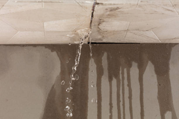 Professional Structural Drying technician working in Amityville, NY